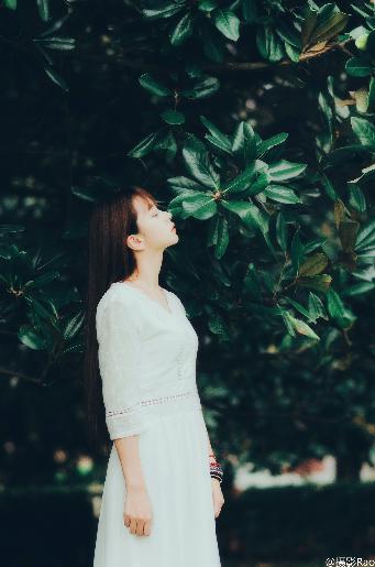 欢乐家长群电视剧免费播放完整版